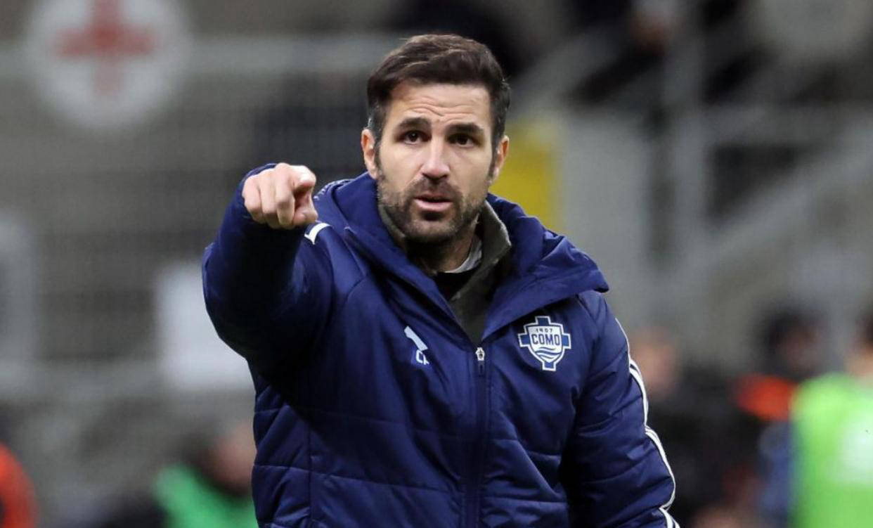 关于RB莱比锡新引援表现出色，成为球队关键一员的信息