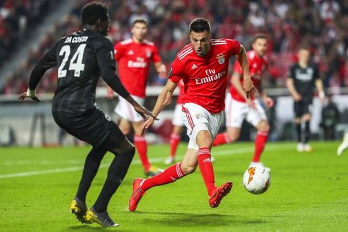 开云官网-拜仁慕尼黑双星受伤，球队备战受影响