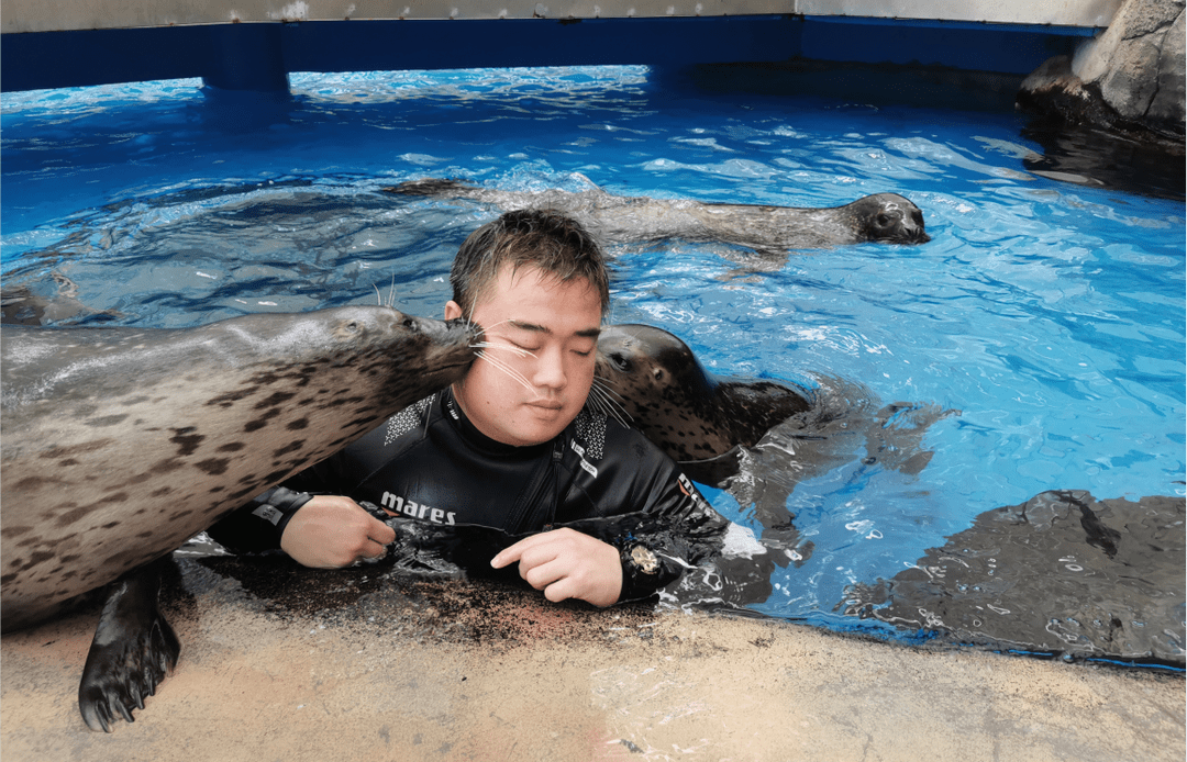 河北山东豹队备战全力，冠军呼唤